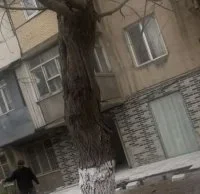 Binəqədidə daha bir mənzil obyektə çevrildi - İcazəni Elxan Allahverdiyev verib