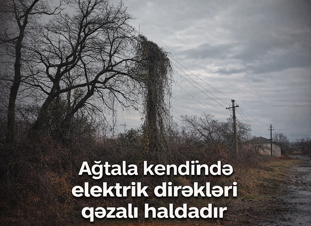Xaçmazın Ağtala kəndində təhlükəli vəziyyət: elektrik dirəkləri təhlükə saçır