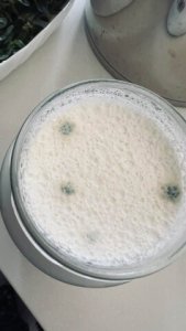 Burda müştərini ZƏHƏRLƏMƏK İSTƏYİRLƏR? - BU NƏDİ BELƏ?